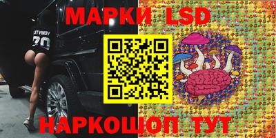 MDMA Владимир