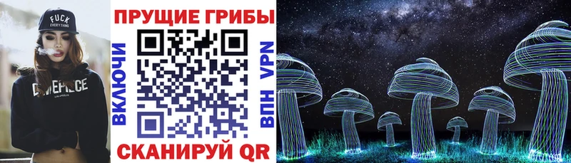 блэк спрут зеркало  Богданович  Псилоцибиновые грибы Magic Shrooms 