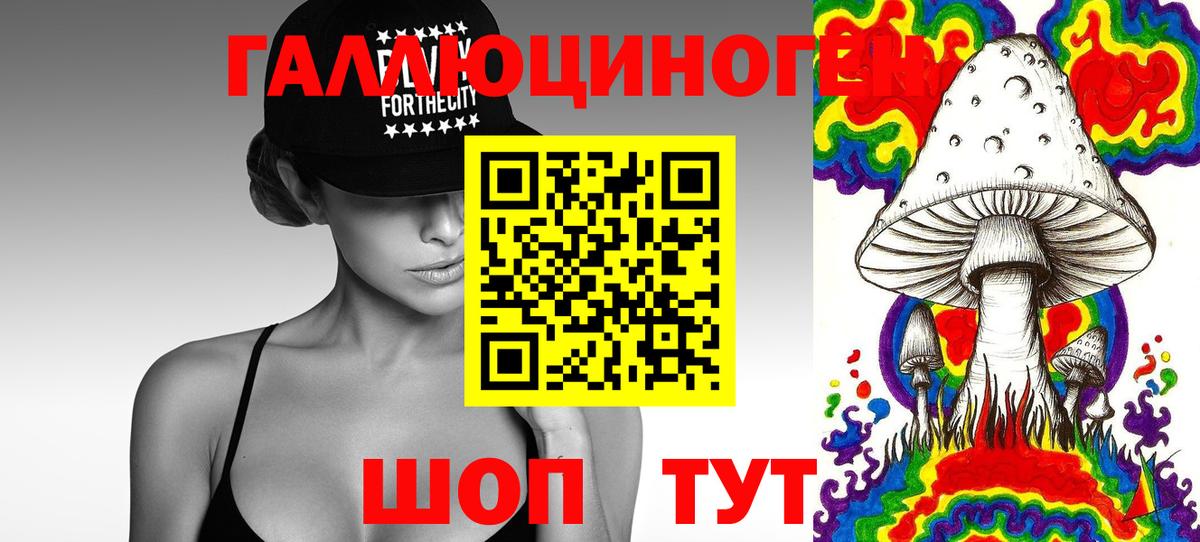 Галлюциногенные грибы ЛСД Богданович