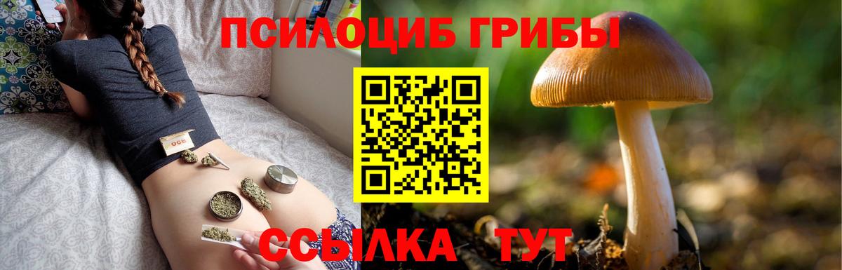 Богданович  Галлюциногенные грибы Magic Shrooms  Вход с VPN 